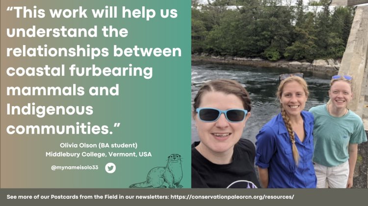 Undergrad Olivia Olson's postcard was featured by the Conservation Paleobiology Research Network, August 2021