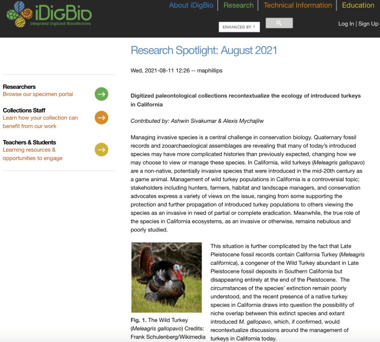 Ashwin's turkey research featured by iDigBio for the August 2021 Research Spotlight